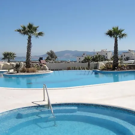 Horizon Sky Coconut 6 Kıyıkıslacık